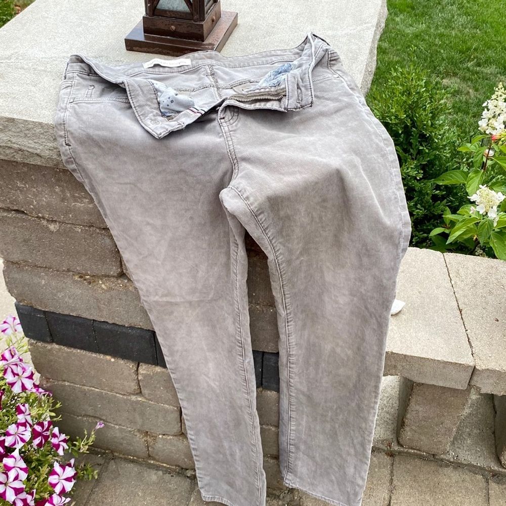 Pilcro and the Letterpress • Greige Cordoroy Pants 30 - Picture 12 of 16